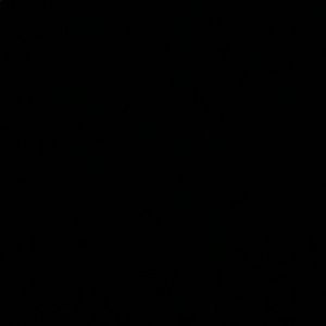 Meet your Posher, Jade